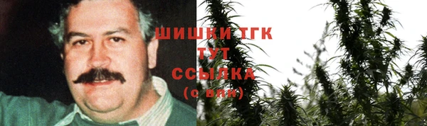 гашик Белокуриха