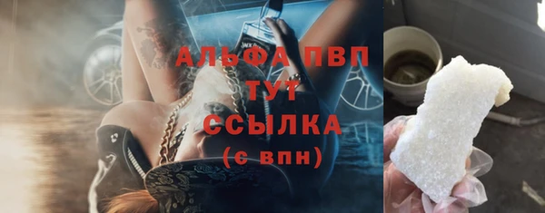 гашик Белокуриха