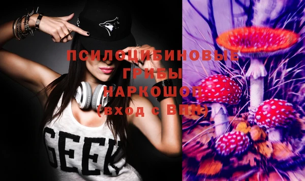 гашик Белокуриха