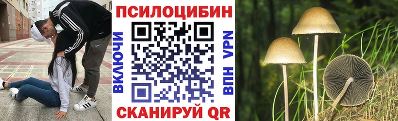 Псилоцибиновые грибы GOLDEN TEACHER  Мариинский Посад 