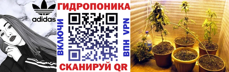 Бошки Шишки сатива  shop телеграм  Мариинский Посад 